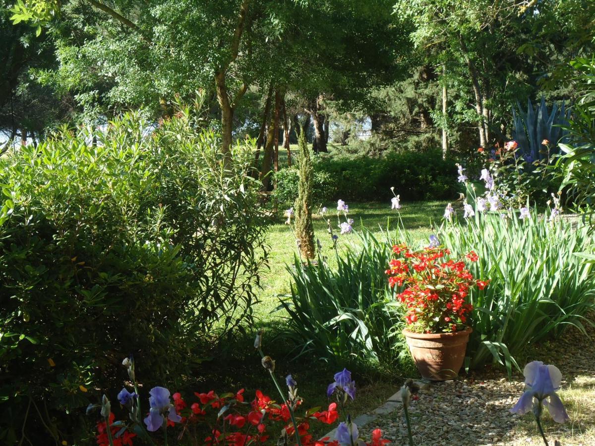 Au Bord De Thau Bed and Breakfast Marseillan  Exteriör bild