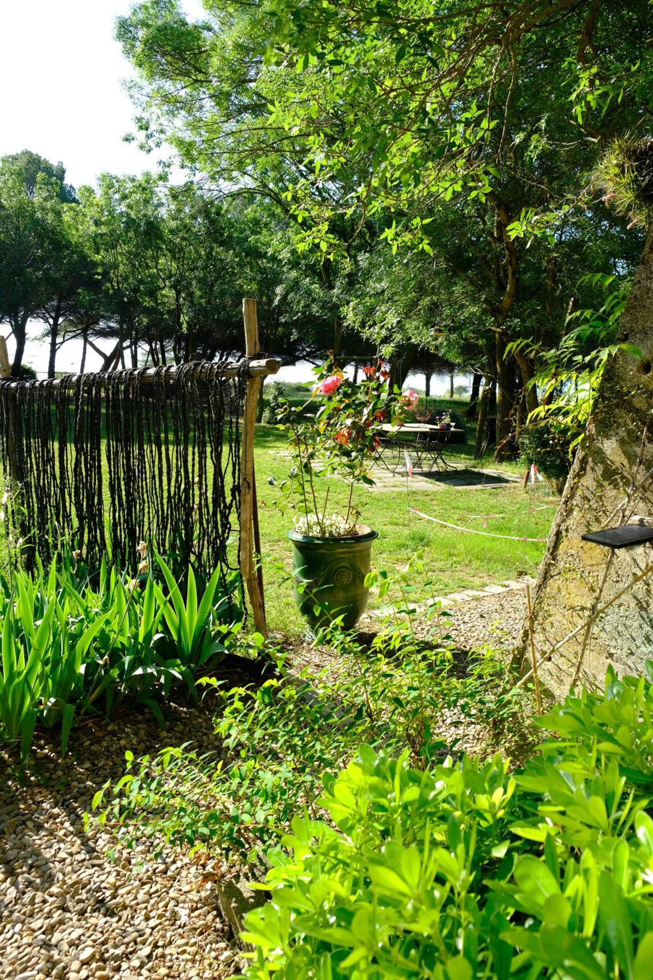 Au Bord De Thau Bed and Breakfast Marseillan  Exteriör bild