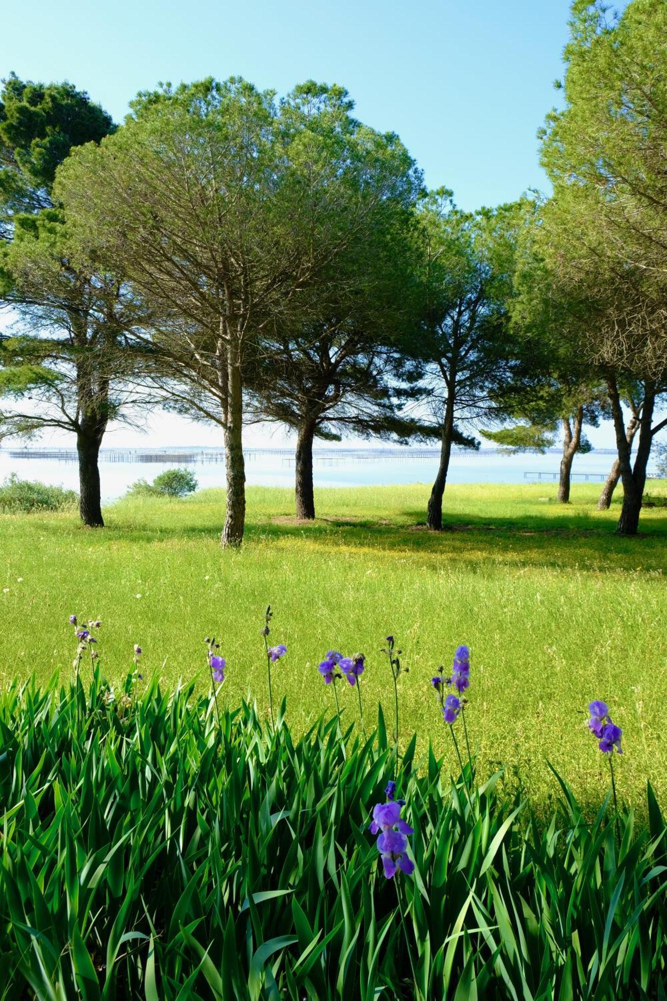 Au Bord De Thau Bed and Breakfast Marseillan  Exteriör bild